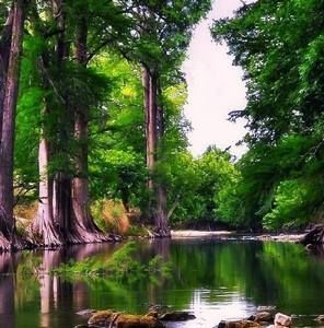 Meet your Posher, Lillian